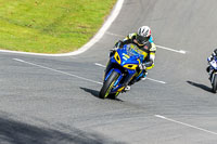 Oulton-Park-20th-March-2020;PJ-Motorsport-Photography-2020;anglesey;brands-hatch;cadwell-park;croft;donington-park;enduro-digital-images;event-digital-images;eventdigitalimages;mallory;no-limits;oulton-park;peter-wileman-photography;racing-digital-images;silverstone;snetterton;trackday-digital-images;trackday-photos;vmcc-banbury-run;welsh-2-day-enduro